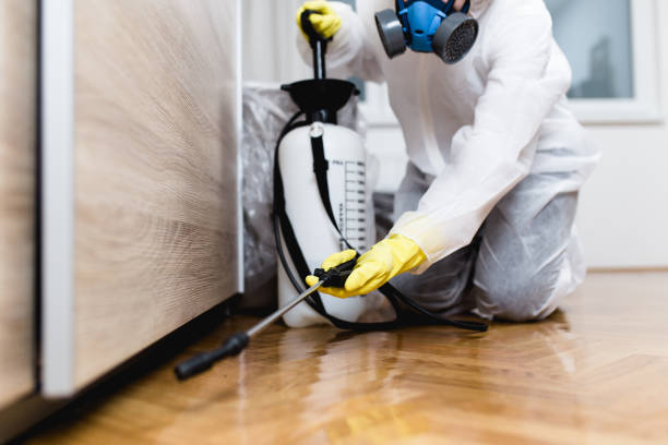 Best Emergency Pest Control  in Crossville, AL