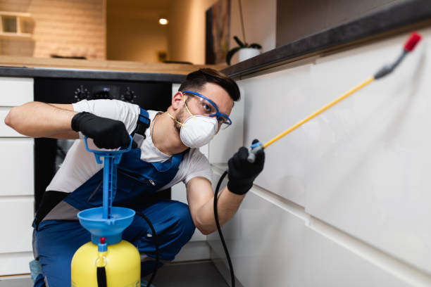 Best Affordable Pest Control Services  in Crossville, AL
