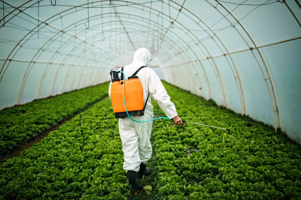 Best Pest Control Near Me  in Crossville, AL