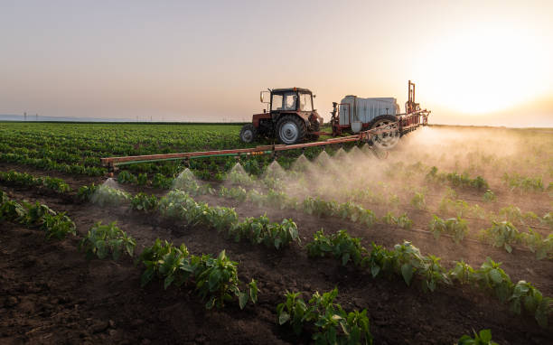 Best Pest Prevention Services  in Crossville, AL