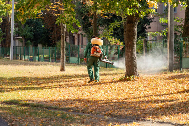 Best Termite Control Services  in Crossville, AL