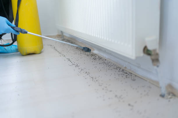 Best Residential Pest Control  in Crossville, AL