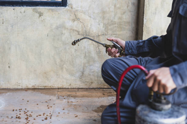 Best Local Pest Control Services  in Crossville, AL